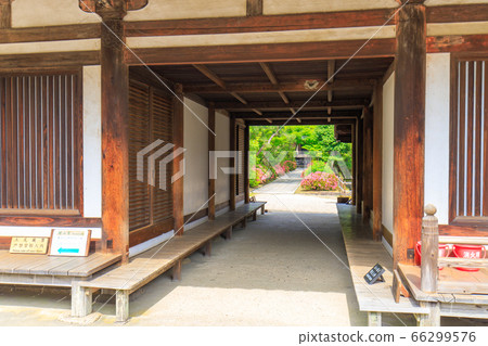 Toshodaiji Temple Toshodaiji Temple 66299576