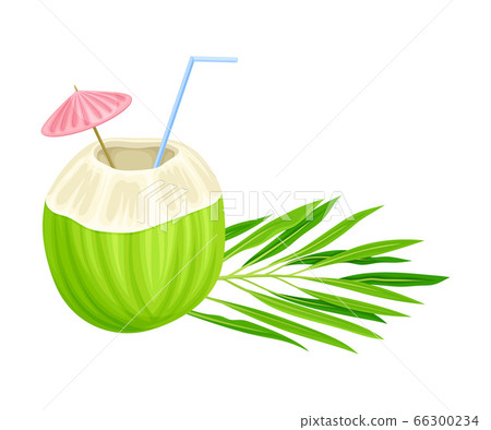 Subtropical Coconut Cocktail in Green Coconut Shell with Straw and Umbrella Vector Illustration Subtropical Coconut Cocktail in Green Coconut Shell with Straw and Umbrella Vector Illustration 66300234