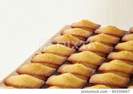 A deliciously arranged financier arranged neatly 66300667