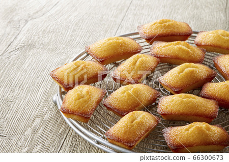 Financier on a cake cooler 66300673