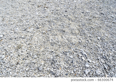 A piece of coral on the beach / Zamami village, Okinawa 66300674