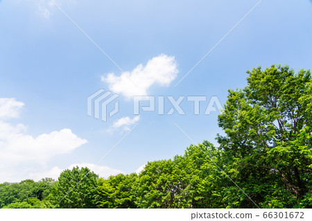 東京八王子的自然環境——chi七chi公園 66301672