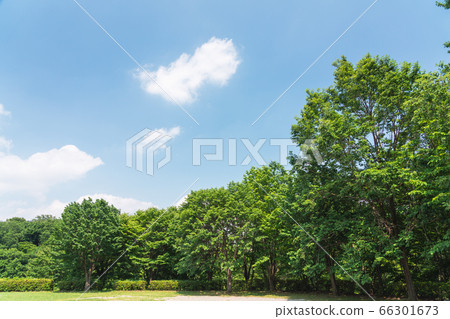 東京八王子的自然環境——chi七chi公園 66301673