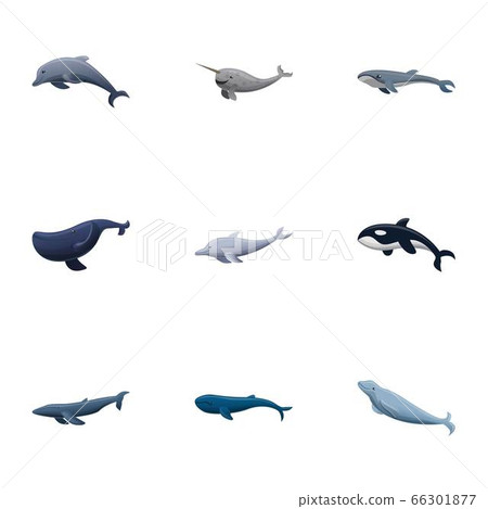 Wildlife whale icon set, cartoon style Wildlife whale icon set, cartoon style 66301877