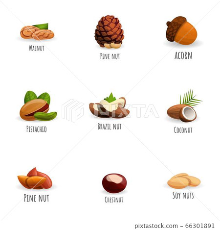 Fresh nuts icon set, cartoon style 66301891
