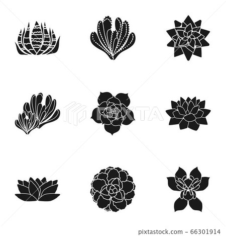 Cacti succulent icon set, simple style 66301914