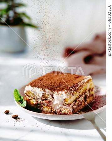 Tiramisu sprinkled with cocoa powder, vertical Tiramisu sprinkled with cocoa powder, vertical 66302816