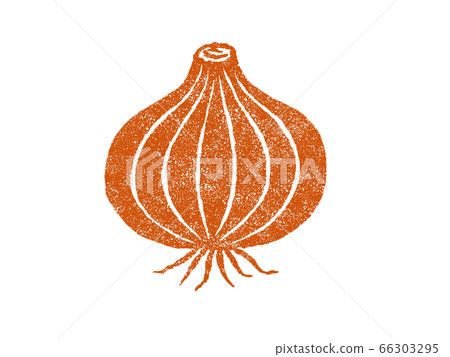 洋蔥的插圖 洋蔥的插圖 66303295