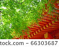 新鮮的綠色神社 66303687