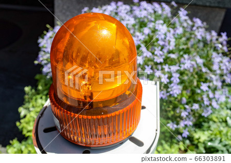 Vehicle entrance/exit patrol lights Vehicle entrance/exit patrol lights 66303891
