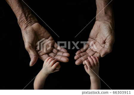 Hand of a young baby touching old hand of the 66303911