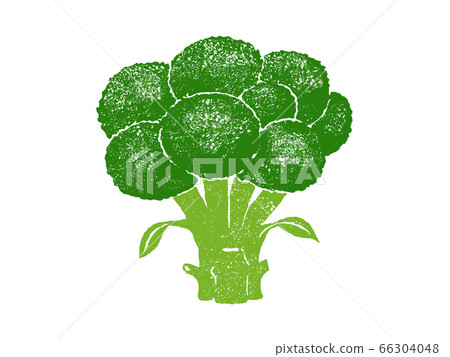 Broccoli illustration Broccoli illustration 66304048