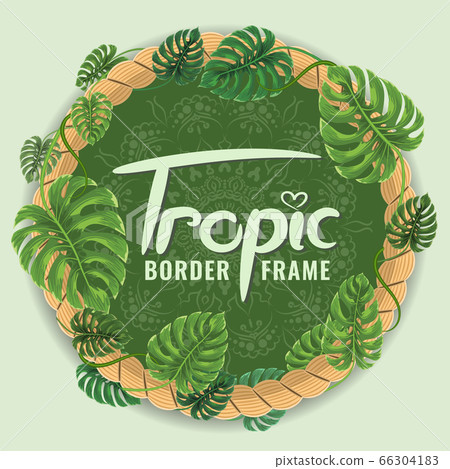 Round Frame border made with Tropical leaves. Watercolor style flat and solid color vector illustration. Round Frame border made with Tropical leaves. Watercolor style flat and solid color vector illustration. 66304183