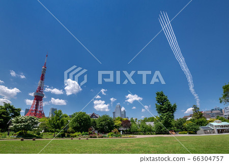 東京鐵塔和藍色衝動 66304757