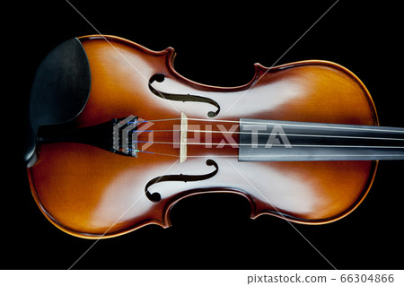 Violin on Black Background 66304866