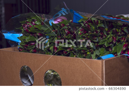 A man worker is packing flowers in cardboard boxes A man worker is packing flowers in cardboard boxes 66304890