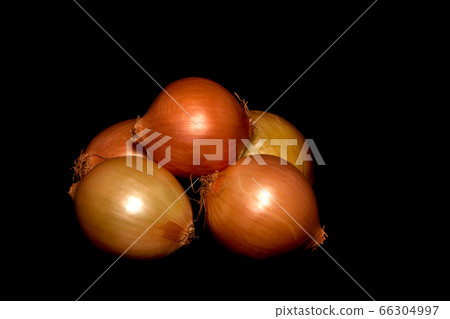 Onions on Black Background Onions on Black Background 66304997