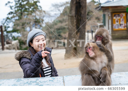 享受女孩旅行的女性[1月] [拍攝合作高崎山自然動物園] 66305599
