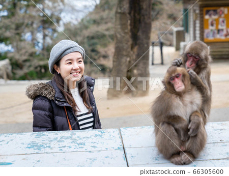 Women enjoying girls' trip [January] [Shooting cooperation Takasakiyama Natural Zoo] 66305600