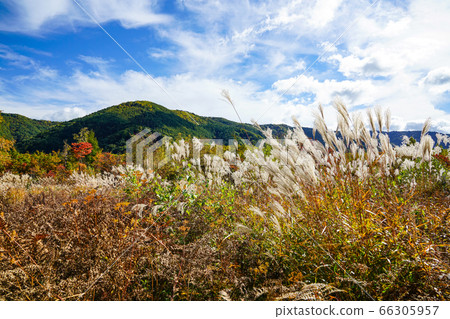 落在Norikura Kogen 66305957