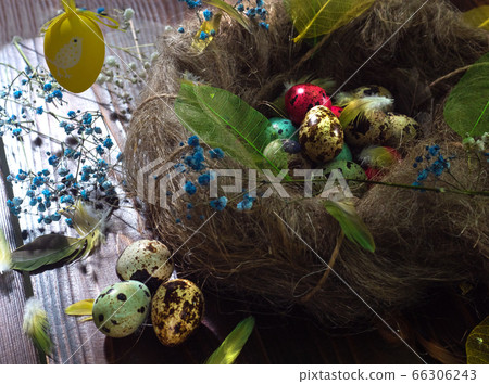 quail eggs in a nest on a wooden background 66306243