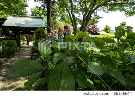 繡球寺 繡球寺 66306644