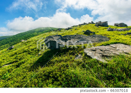 mountain landscape. white sharp stones on the mountain landscape. white sharp stones on the 66307018