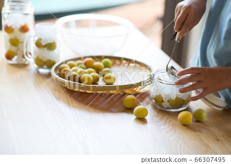 Plum work to make syrup from plum and rock sugar 66307495
