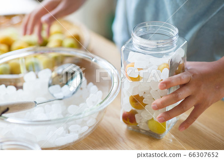 Plum work to make syrup from plum and rock sugar Plum work to make syrup from plum and rock sugar 66307652