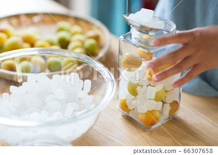 Plum work to make syrup from plum and rock sugar 66307658