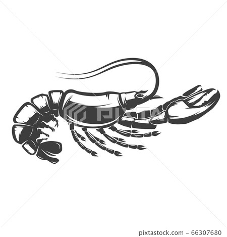 Lobster icon isolated on white background. Design element for logo, label, sign, brand mark. Vector illustration.  66307680