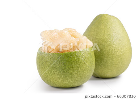 Pomelo mid-autumn festival white background go back pomelo isolated clipping path 切り抜き 66307830