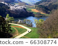 Nature, scenery, cherry blossoms, our country, dragonfly 66308774