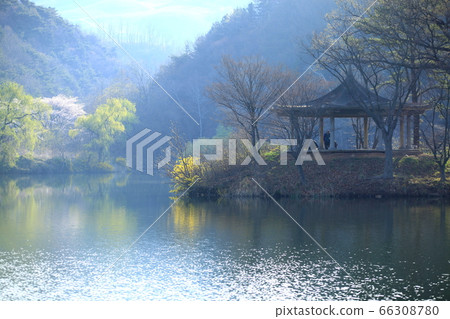 自然,風景,櫻花,我們的國家,蜻蜓 自然,風景,櫻花,我們的國家,蜻蜓 66308780