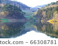 Nature, scenery, cherry blossoms, our country, dragonfly 66308781