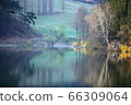 Nature, scenery, cherry blossoms, our country, dragonfly 66309064