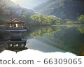 Nature, scenery, cherry blossoms, our country, dragonfly 66309065