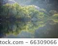 Nature, scenery, cherry blossoms, our country, dragonfly 66309066