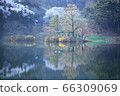 Nature, scenery, cherry blossoms, our country, dragonfly 66309069