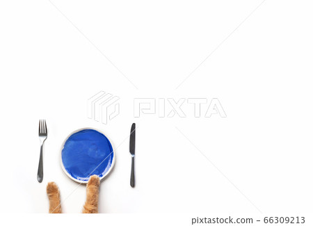 Red cat paws on plate Red cat paws on plate 66309213