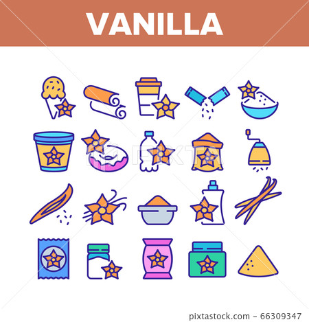 Vanilla Flower Spice Collection Icons Set Vector Vanilla Flower Spice Collection Icons Set Vector 66309347