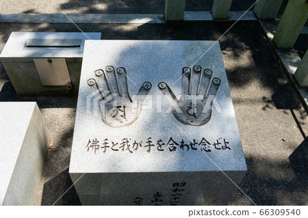 雅各因572 66309540