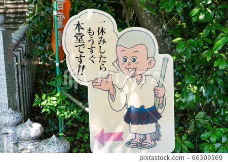 雅各邦551 66309569