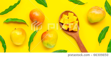 Tropical fruit, Mango on yellow background. Tropical fruit, Mango on yellow background. 66309850