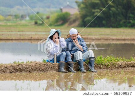 一對農民夫婦在稻田之間的路上吃午餐 一對農民夫婦在稻田之間的路上吃午餐 66309927