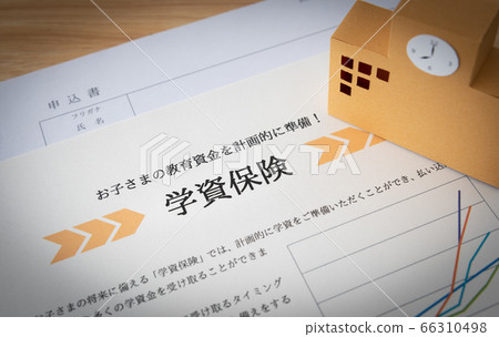 金融保險的形象:為未來的教育基金做準備兒童保險和教育基金 金融保險的形象:為未來的教育基金做準備兒童保險和教育基金 66310498