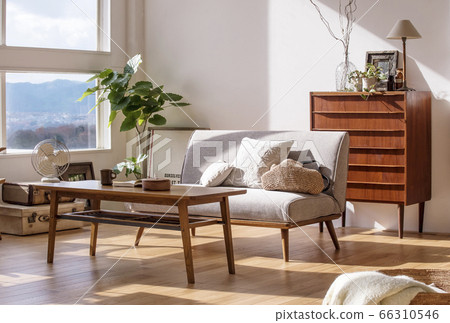 A bright living room, a room full of natural light, and a flooring house 66310546