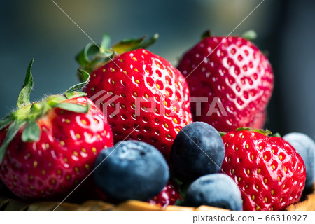 Strawberries in a wicker bowl 66310927