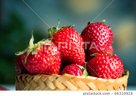 Strawberries in a wicker bowl 66310928