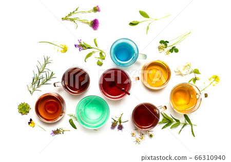 Various colorful herbal tea collection in glass 66310940
